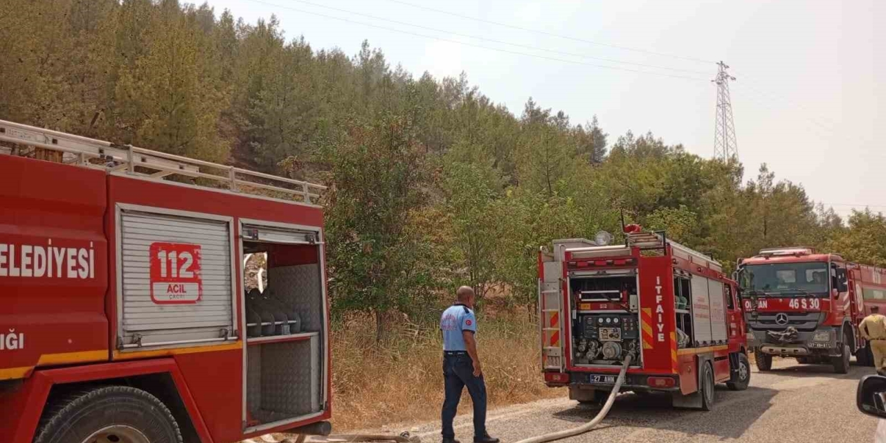 Nizip Belkız Köyü Mesire Alanında Yangın
