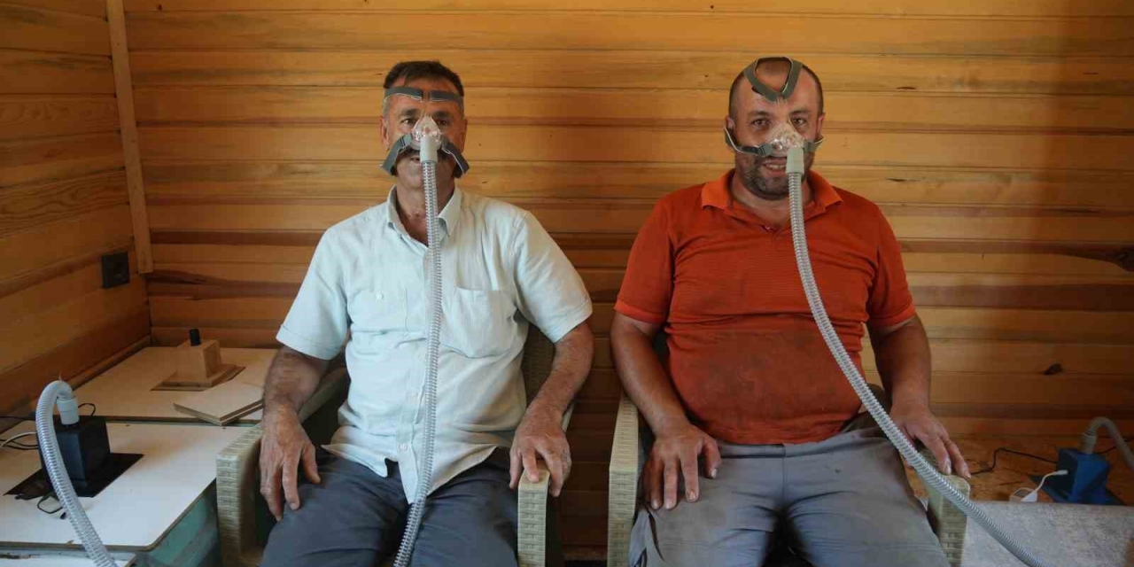 Arı Kovanı Havası Soluyarak Şifa Arıyorlar