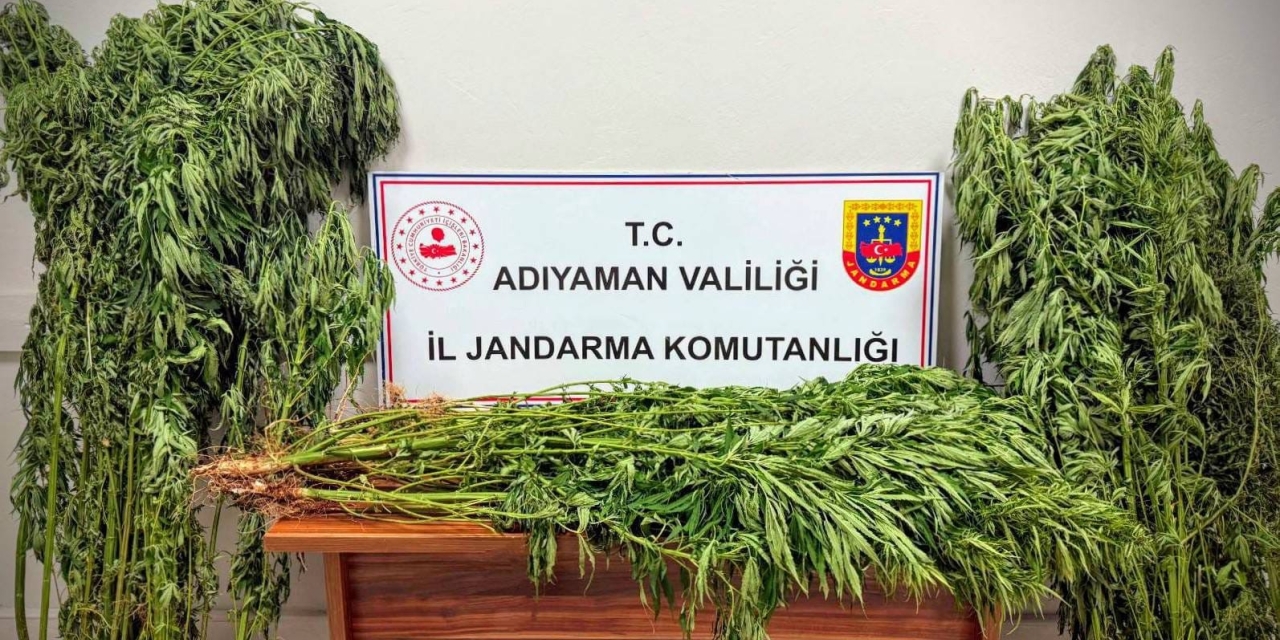 Jandarmadan Uyuşturucu Operasyonu: 9 Gözaltı
