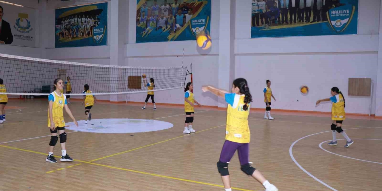 Haliliye Belediyesi Voleybolun Yıldızlarını Keşfediyor