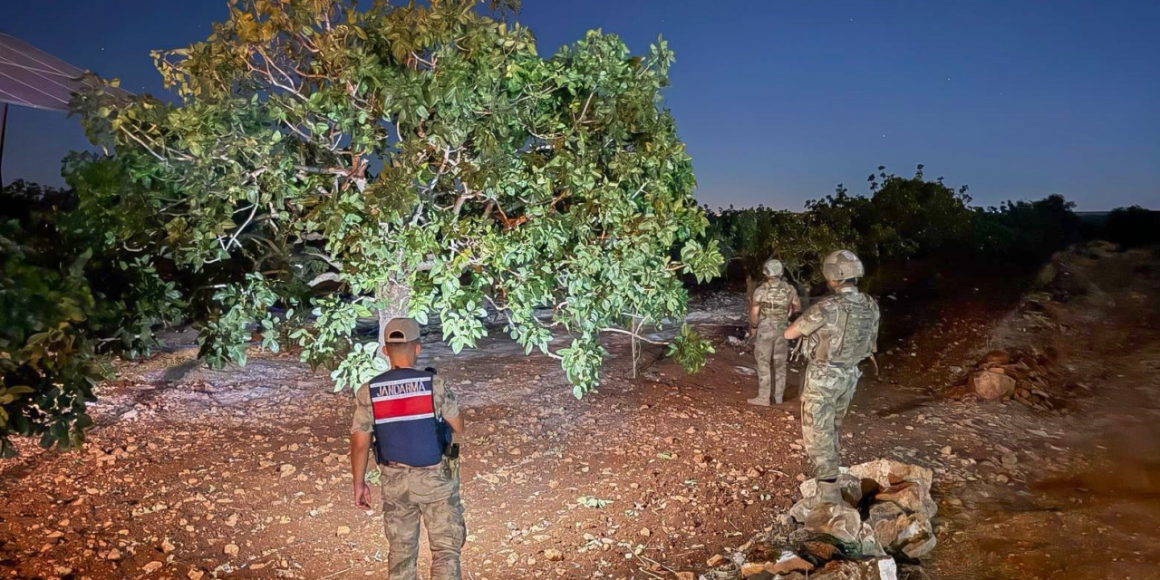 Jandarmanın Fıstık Nöbeti Başladı