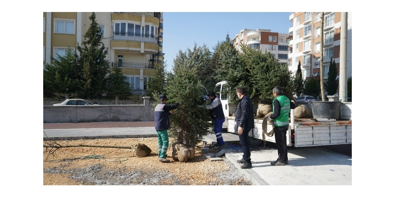 Kent Parkta Ağaçlandırma Çalışması