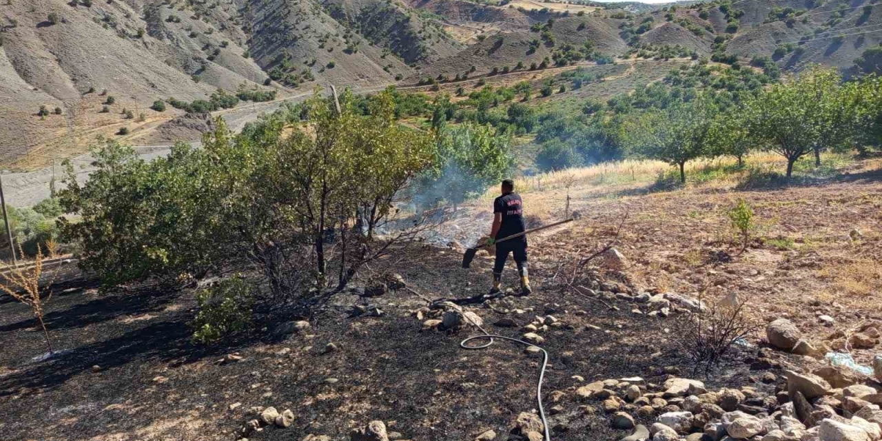 Hekimhan’da Ormanlık Alanda Çıkan Yangın Söndürüldü