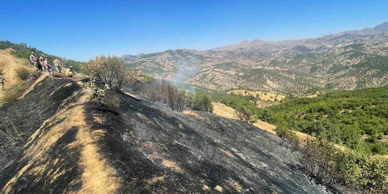 Diyarbakır’da Üç Farklı Noktada Çıkan Yangınlar Kontrol Altına Alındı