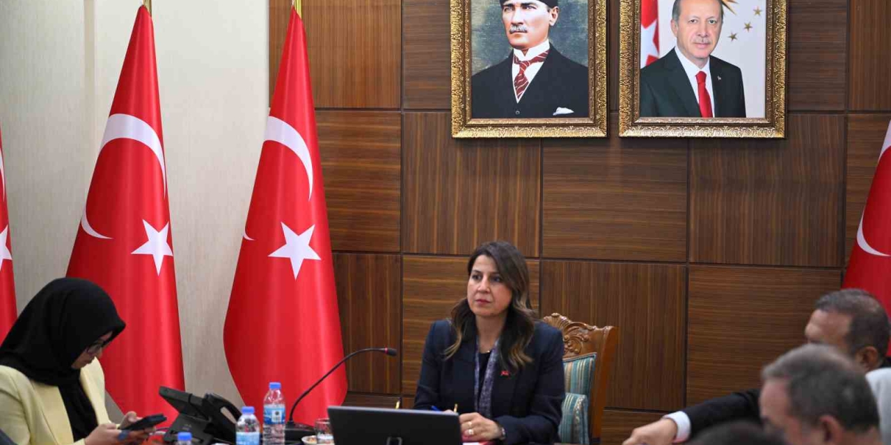 Diyarbakır’da, Kadın Hizmetleri Bölgesel İstişare Toplantısı Yapıldı