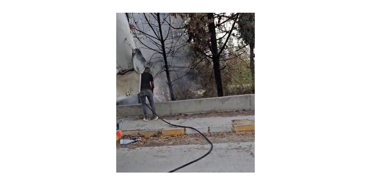Mikser Sürücüsü Ağaçları Yanmaktan Kurtardı