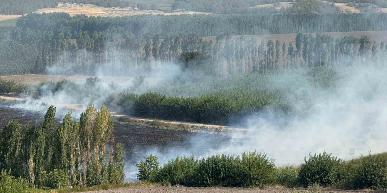 Diyarbakır’da Hevsel Bahçelerindeki Mısır Tarlasında Anız Yangını