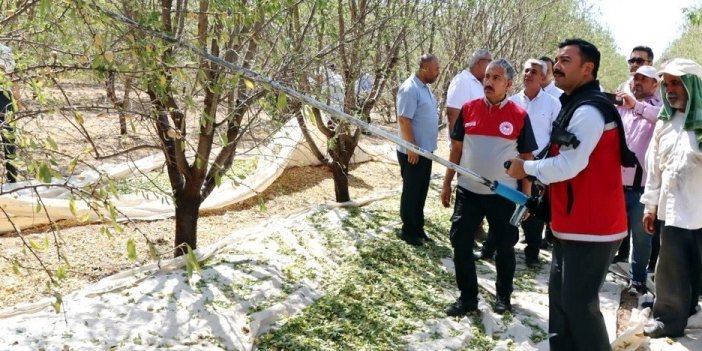 Kahta’da Badem Hasadı Düzenlendi