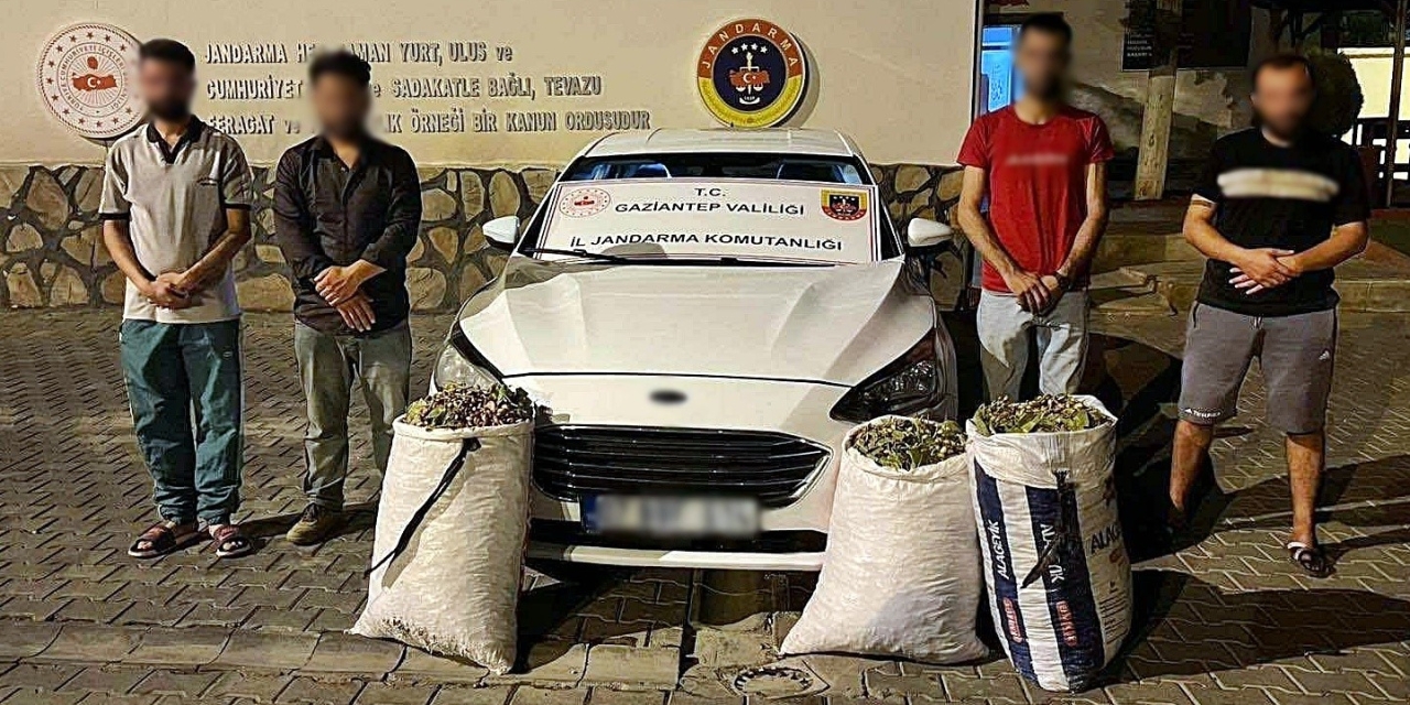 Gaziantep’te Hırsızlık Şüphelisi 24 Şahıs Yakalandı