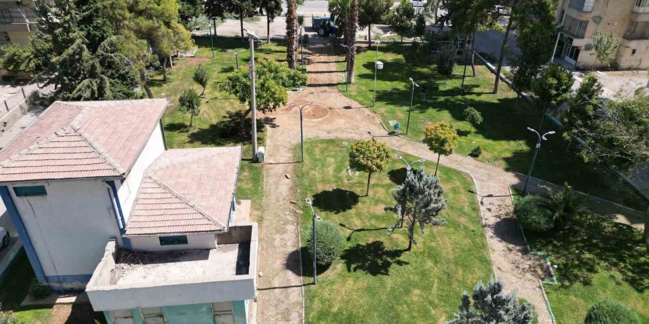 Haliliye’de Ağaçlandırma Seferberliği Devam Ediyor