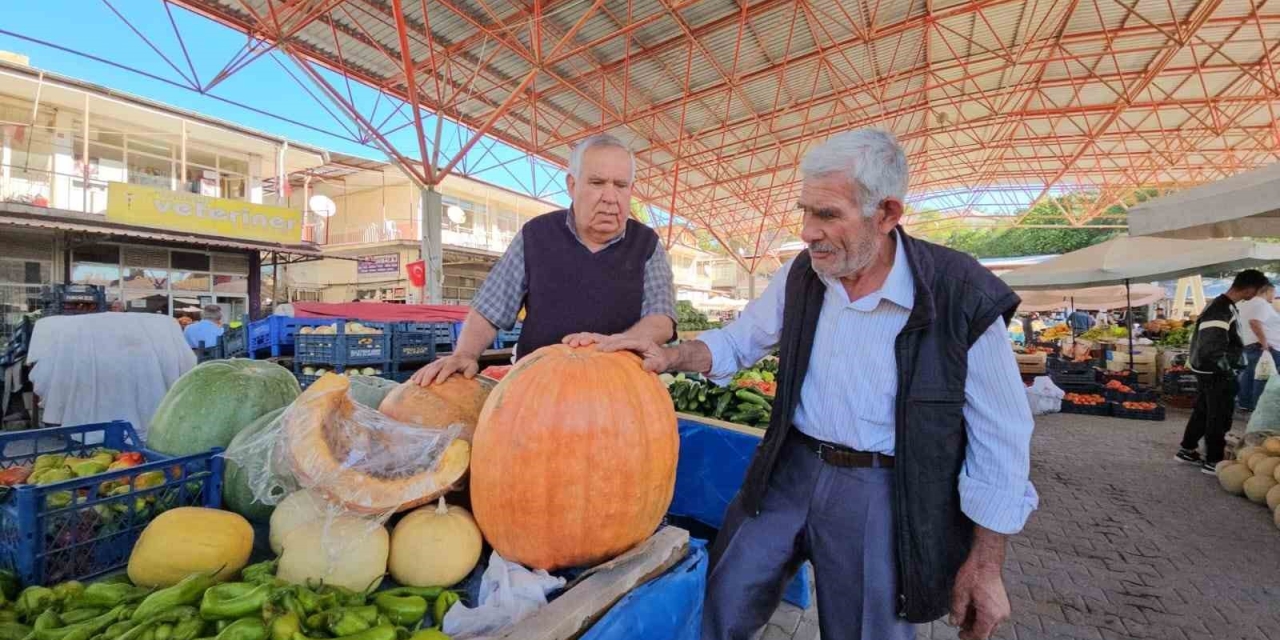 Darende’nin Meşhur Bal Kabağı Üreticinin Yüzünü Güldürüyor