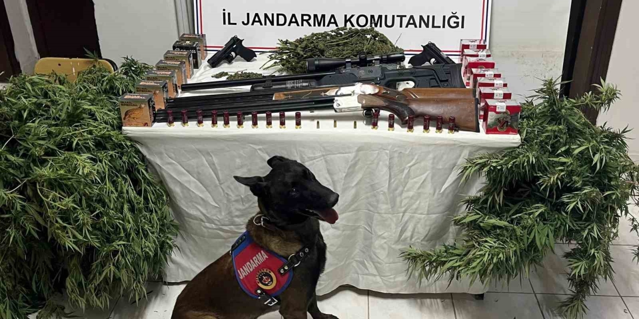 Şanlıurfa’da 1 Kilo 508 Gram Kubar Esrar Ele Geçirildi: 3 Gözaltı