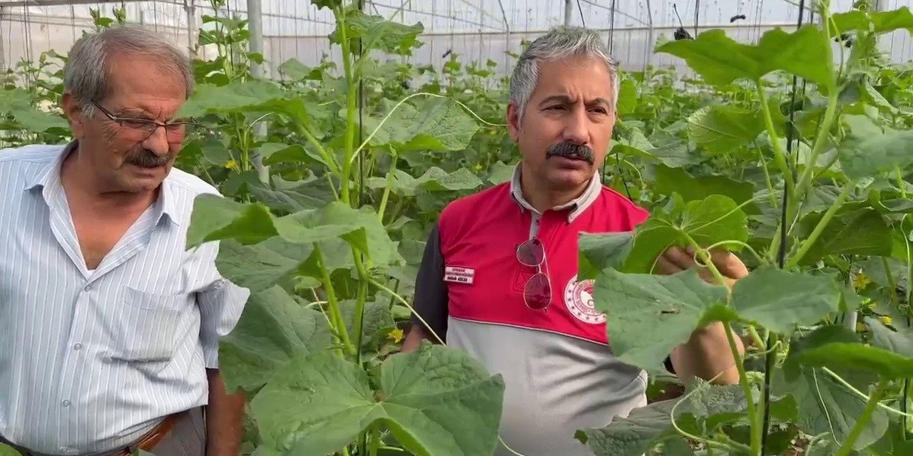 Adıyaman’da Sera-ges Projesiyle Tarımsal Üretim Hız Kazanıyor