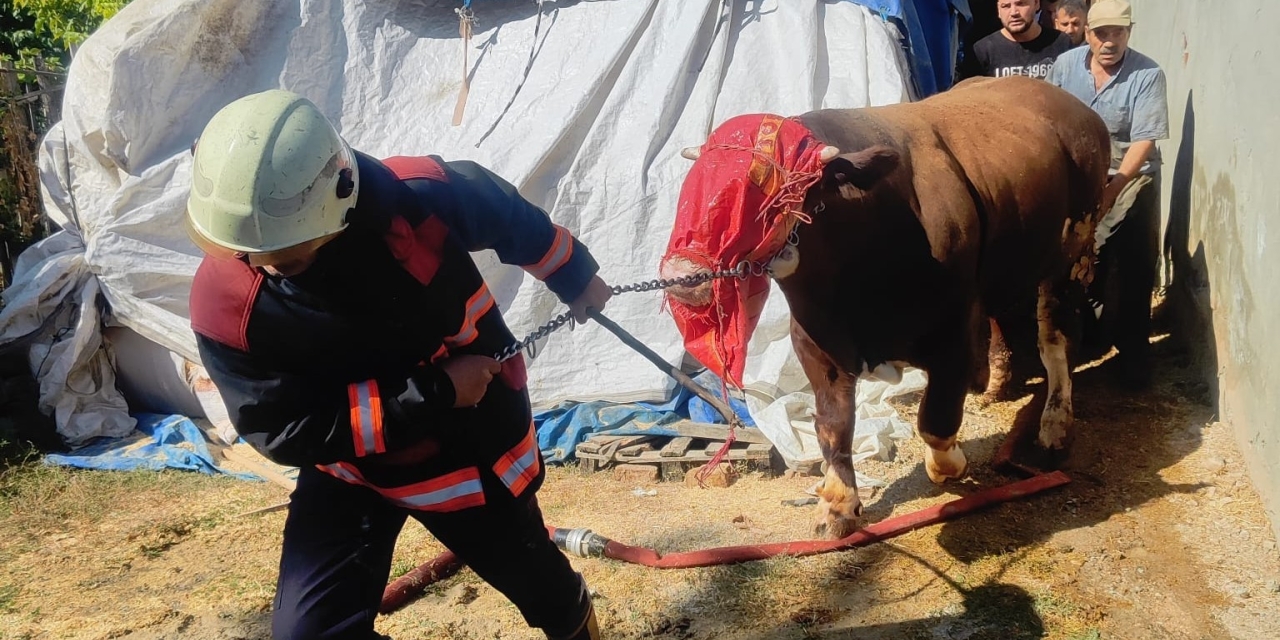 Malatya’da Korkutan Ahır Yangını