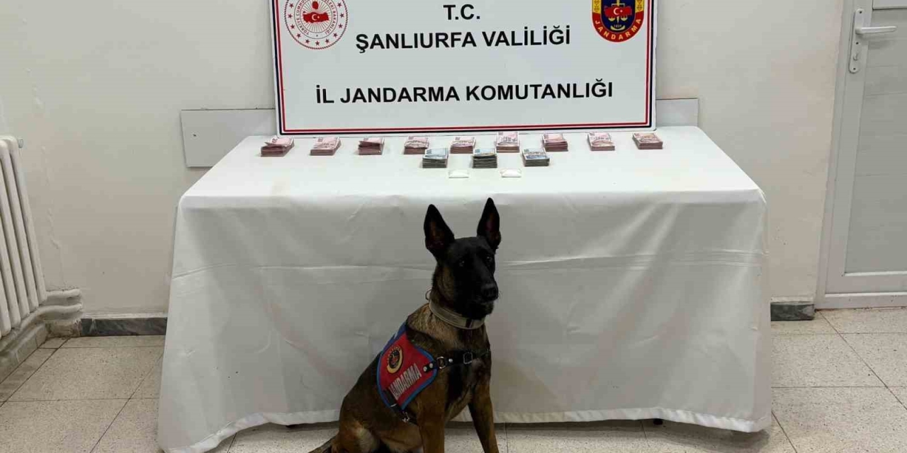 Şanlıurfa’da 210 Bin Tl İle Uyuşturucu Madde Ele Geçirildi