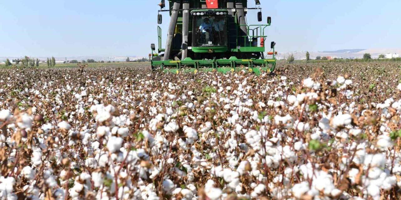 Şanlıurfa’da Pamuk Koruma Altında