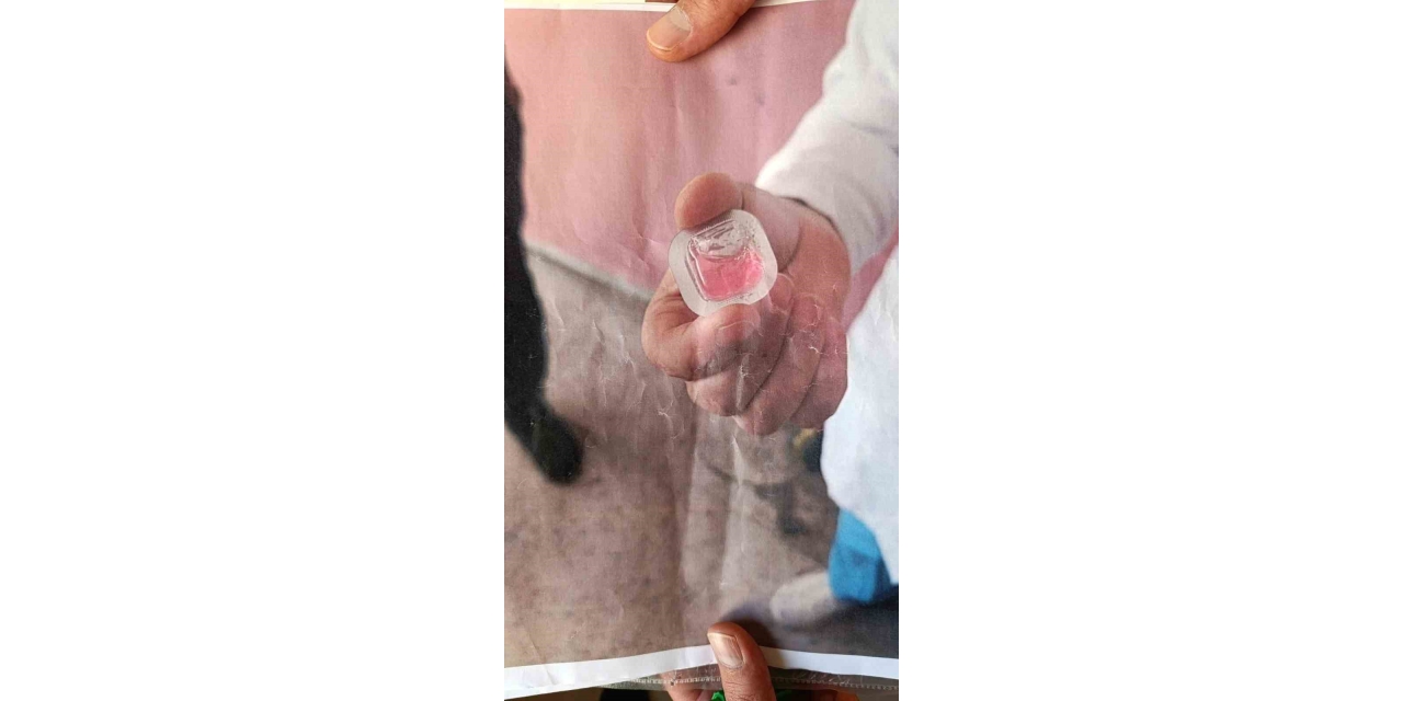 Kapı Kapı Gezip Fotoğraf Göstererek Tehlikeye Dikkat Çektiler