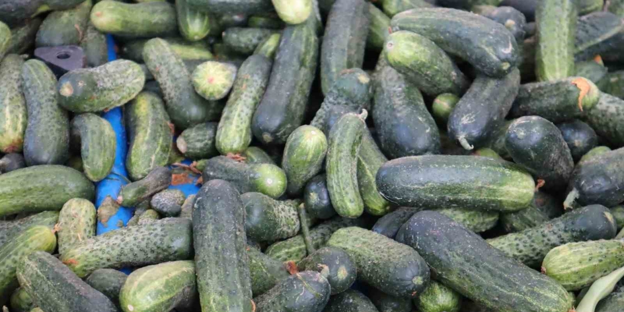 Vatandaş Pahalı Bulsa Da Almaktan Vazgeçemiyor