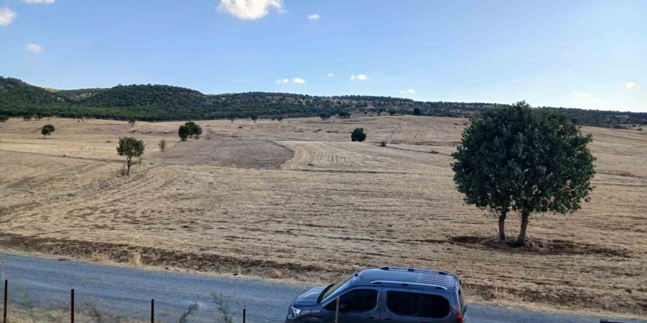 Kulp’ta Sağanak Başladı, Çitçiler Umutlandı