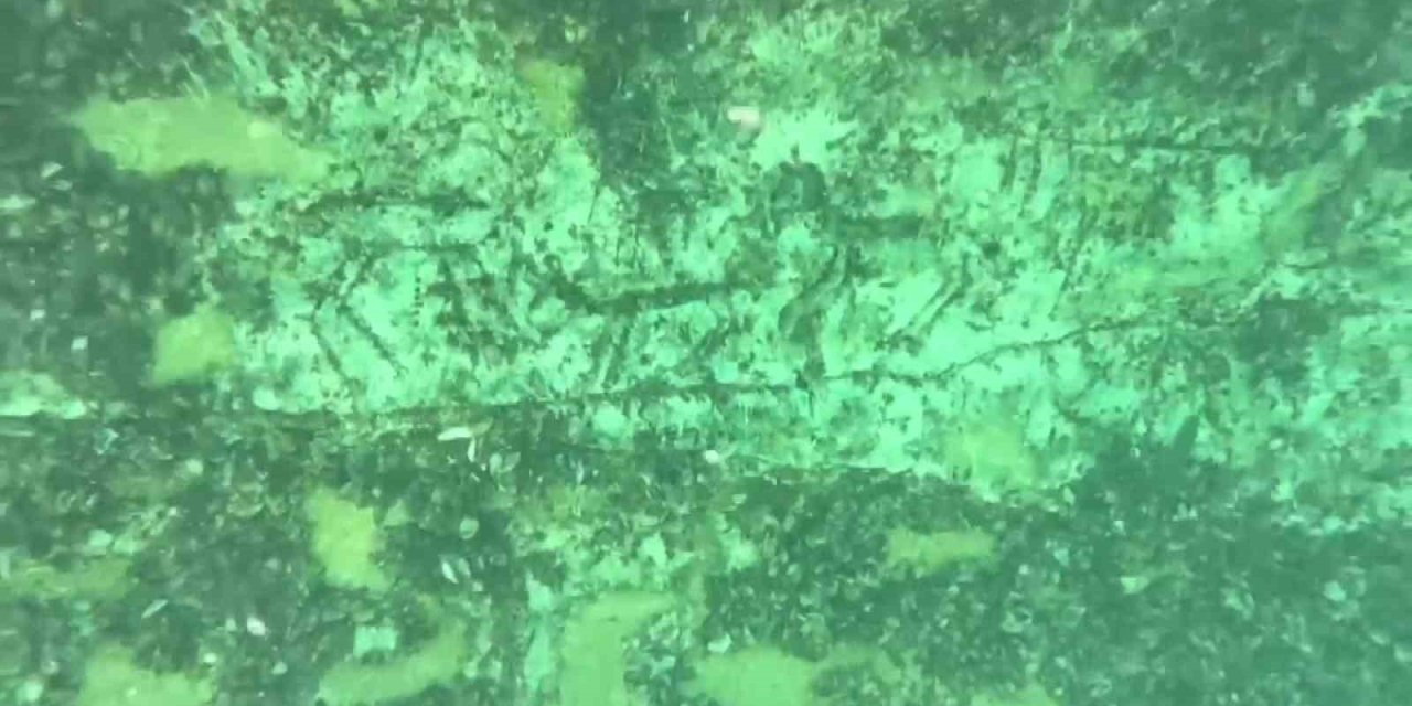 Adıyaman’da 12 Bin Yıllık Kaya Resimleri Su Altında Görüntülendi