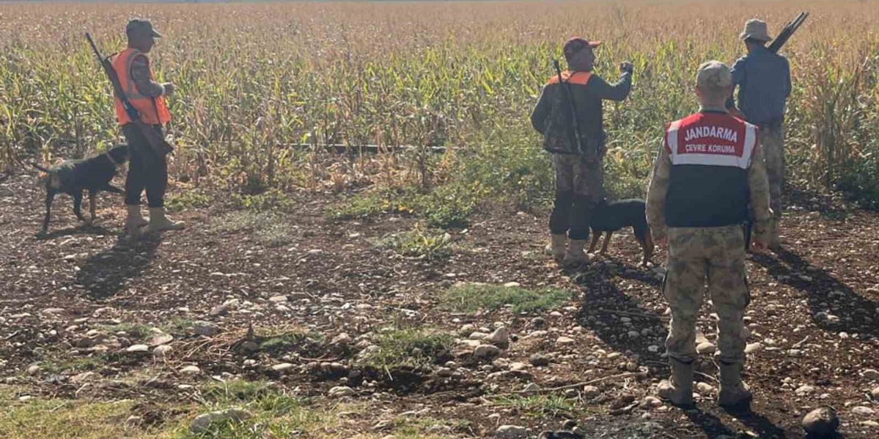 Gaziantep’te Tarım Arazilerine Zarar Veren Yaban Domuzları İçin Sürek Avı Yapıldı