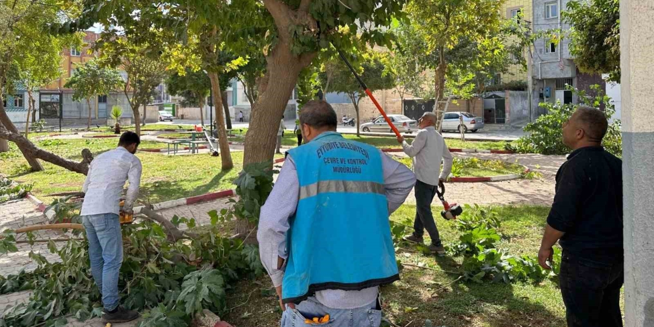 Eyyübiye’deki Parklarda Bakım Ve Yenileme Çalışması