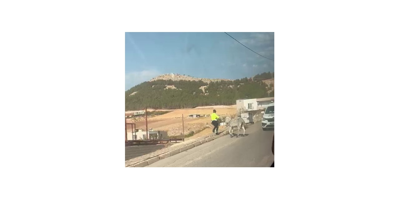 Kazaya Davetiye Çıkaran Eşeğe Polis Müdahale Etti