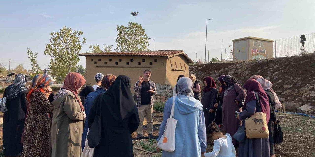 Kadınlar Tıbbi Ve Aromatik Bitkileri Yerinde Tanıyor