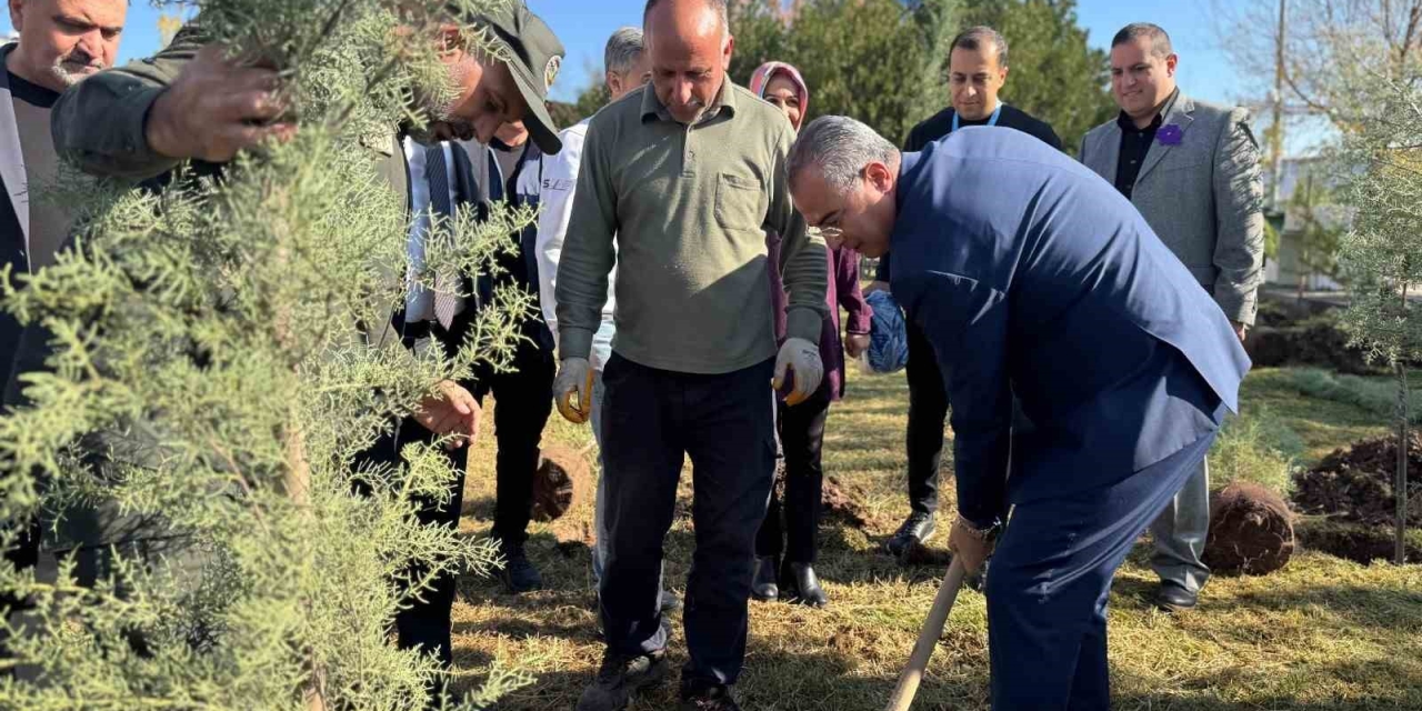 Diyarbakır’da Dünya Prematüre Günü Etkinliği
