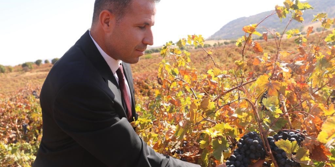 Dicle’de Modern Bağcılığa Yönelik Yüzde 50 Hibeli Tarım Aletleri Desteği Başvurusu Başladı