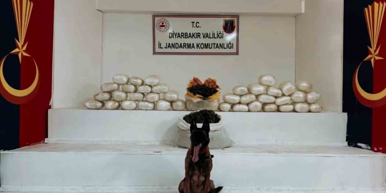 Diyarbakır’da 470 Kilo Skunk Ve 85 Kilo Esrar Ele Geçirildi