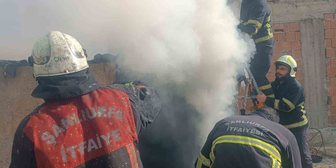Şanlıurfa’da Mesken Yangını Söndürüldü
