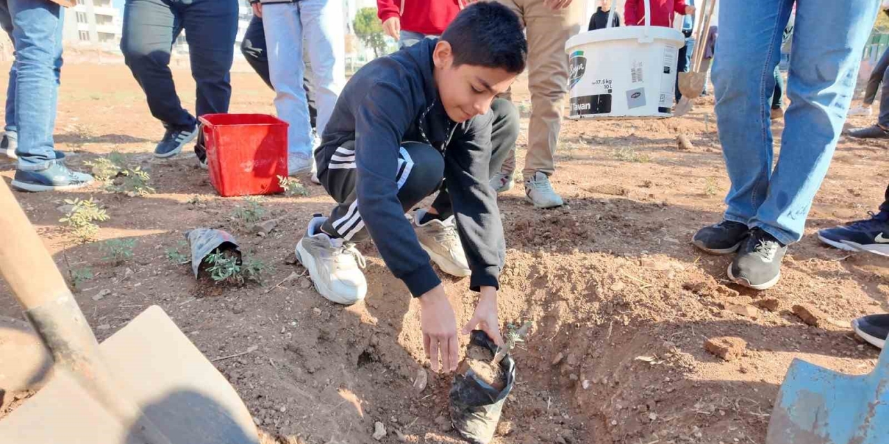 Şanlıurfa’da "yeşeren Okullar Projesi" İle Fidanlar Toprakla Buluştu