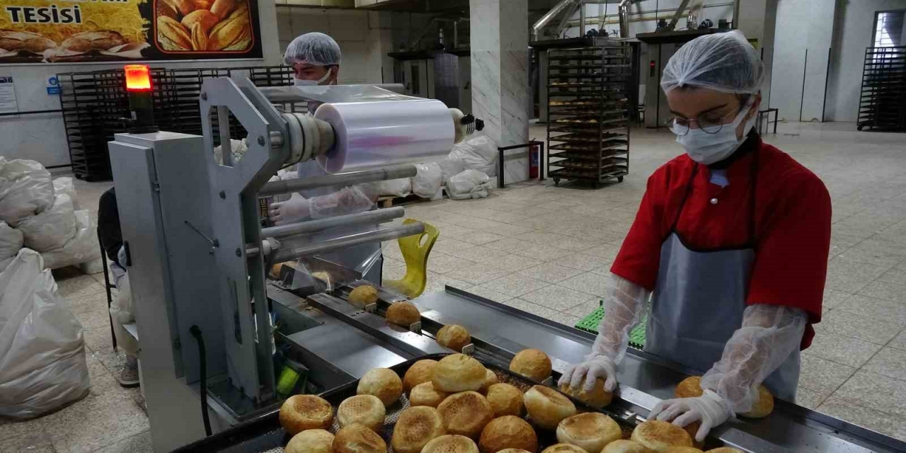 Fabrika Gibi Çalışan Lisenin Yıllık Cirosu 1,5 Milyon