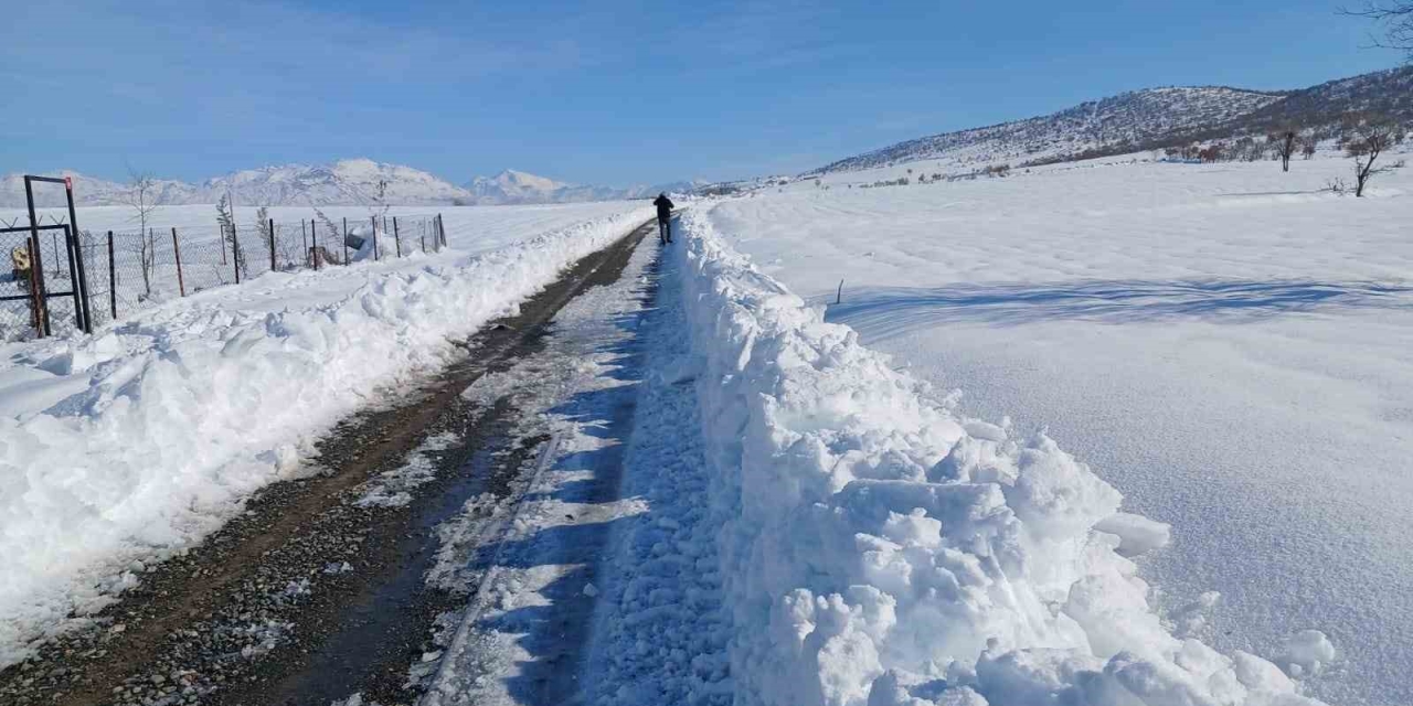 Kulp’ta Taşımalı Eğitime Kar Tatili, İlçe Merkezinde Okullar Açık