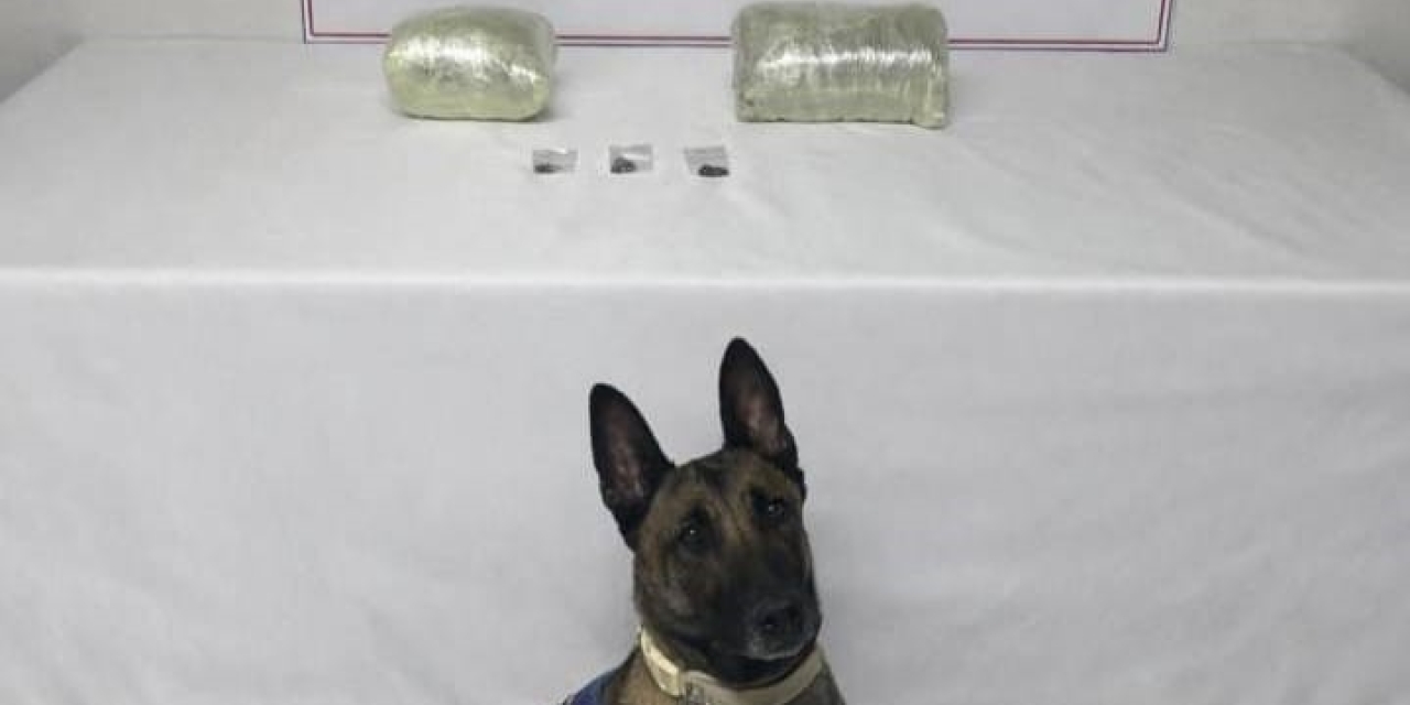 Şanlıurfa’da 2 Kilo Kubar Esrar Ele Geçirildi: 1 Gözaltı