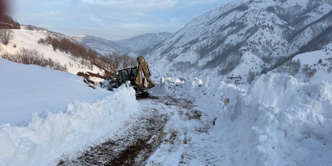 Kulp’ta Kış Yüzünü Sert Gösterdi