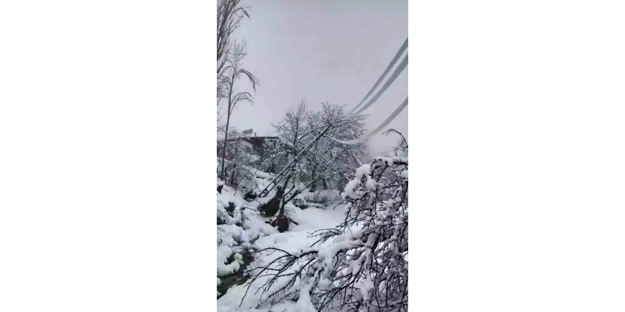 Yoğun Kar Elektrik Direklerini Devirdi