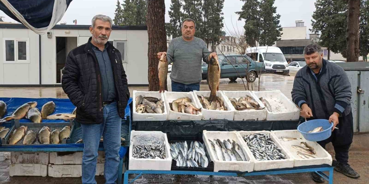 Araban’da Soğuk Hava Balığa Talebi Artırdı