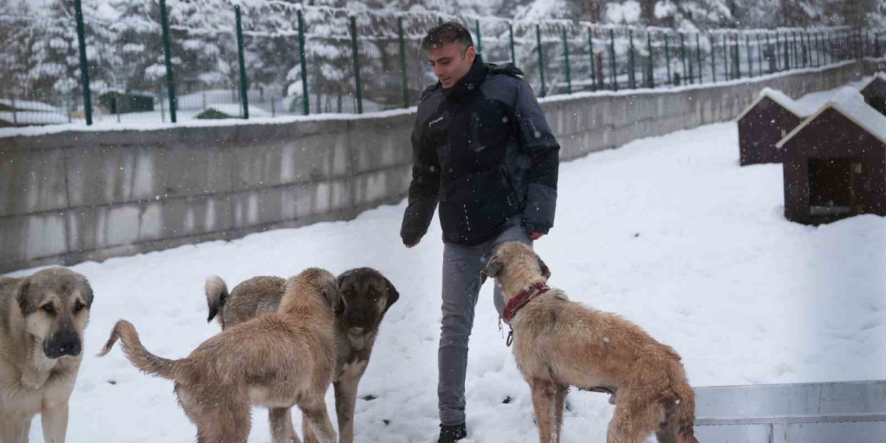 Battalgazi’de Malatya’nın İkinci Hayvan Barınağı Hizmete Başladı