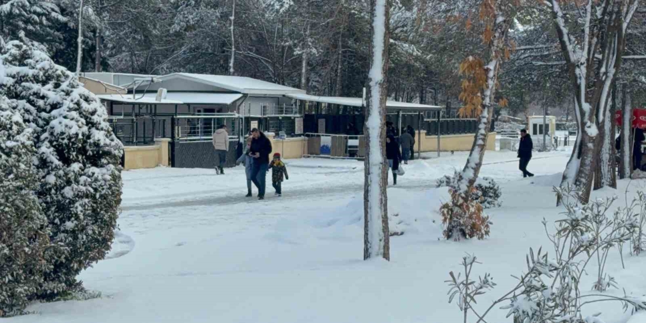 Diyarbakır’da Kar Yağışı Çileye Dönüştü