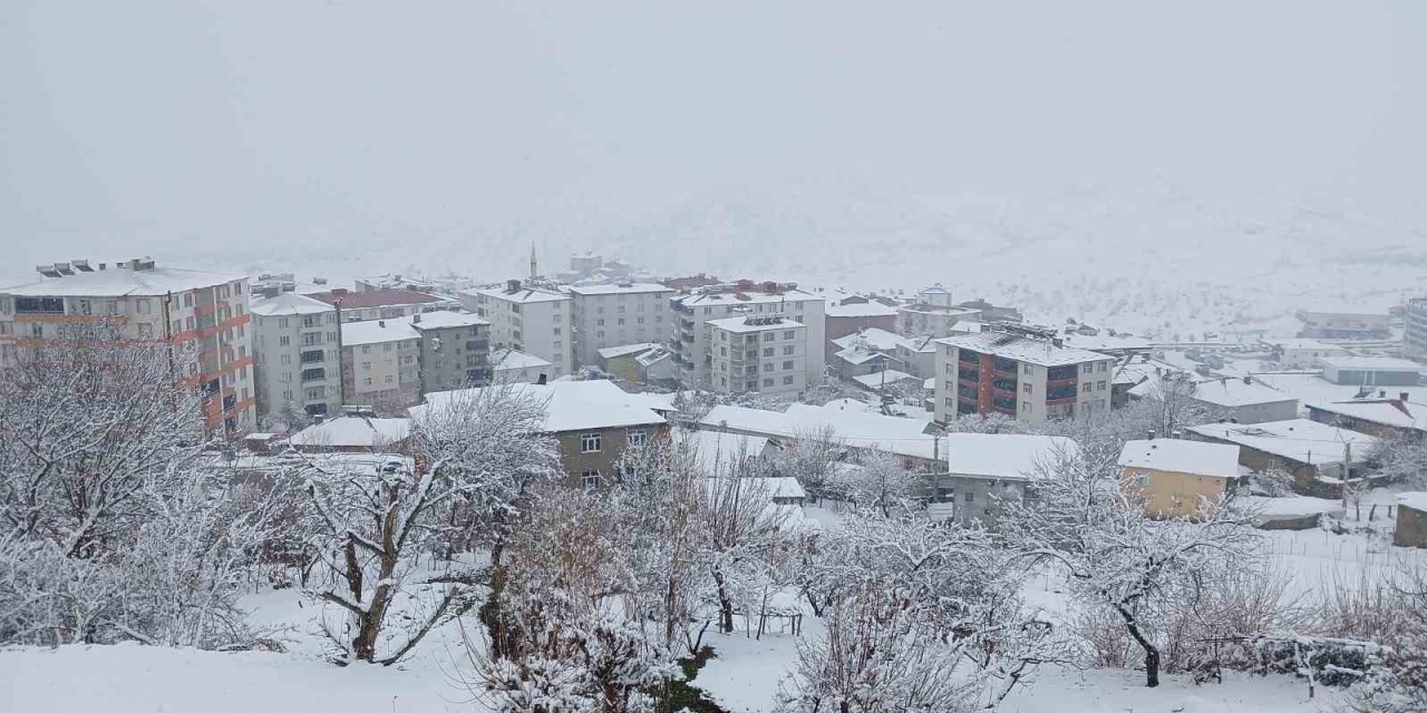 Kulp’ta Kar Esareti: Köy Yolları Kapandı, İlçe Trafiği Kilitlendi