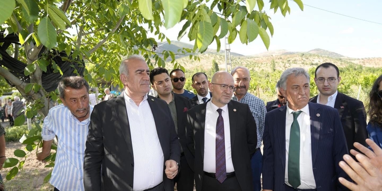 Trabzon Hurması, Dut Ve İncire Destek Ödemesi Başladı