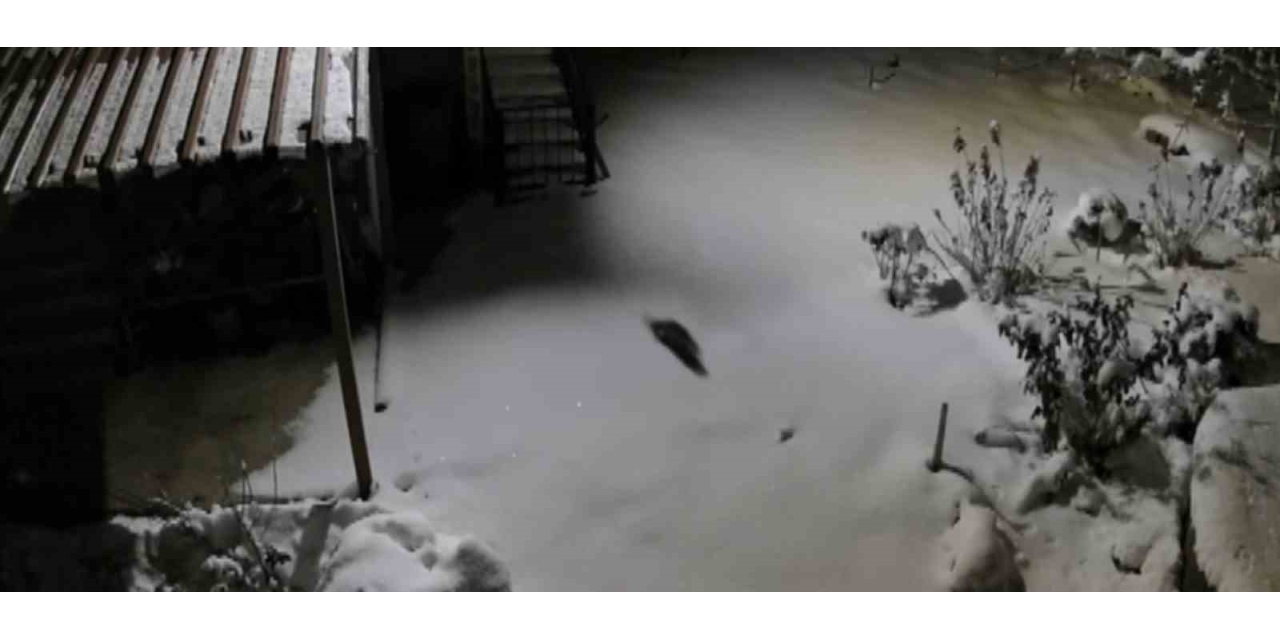 Aç Kalan Kaya Sansarı Evlerin Dibine Kadar İndi