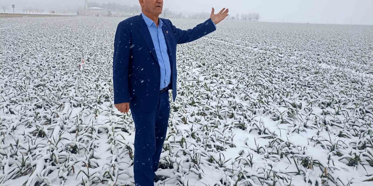 Kar Yağışı Sarımsak Üreticisinin Yüzünü Güldürecek