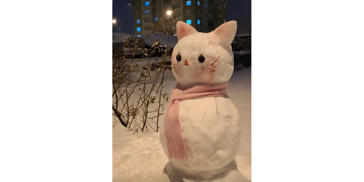 Diyarbakır’ın En Güzel Kardan Adamı Seçildi