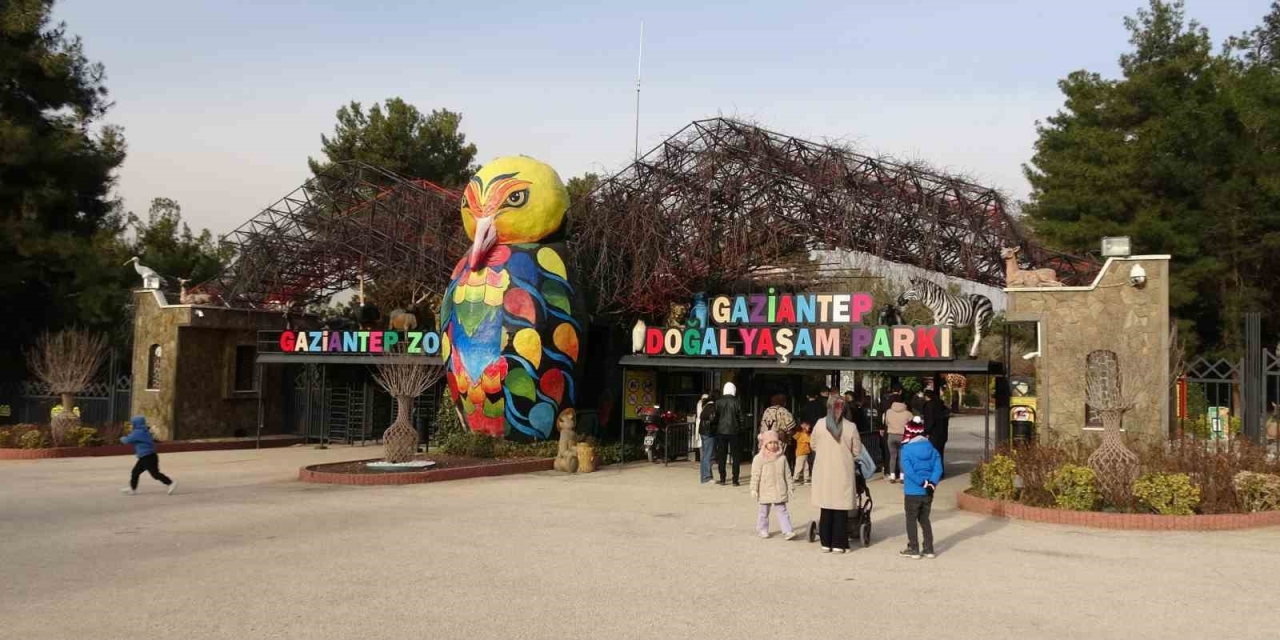Gaziantep Doğal Yaşam Parkı’nda Yarıyıl Tatili Yoğunluğu