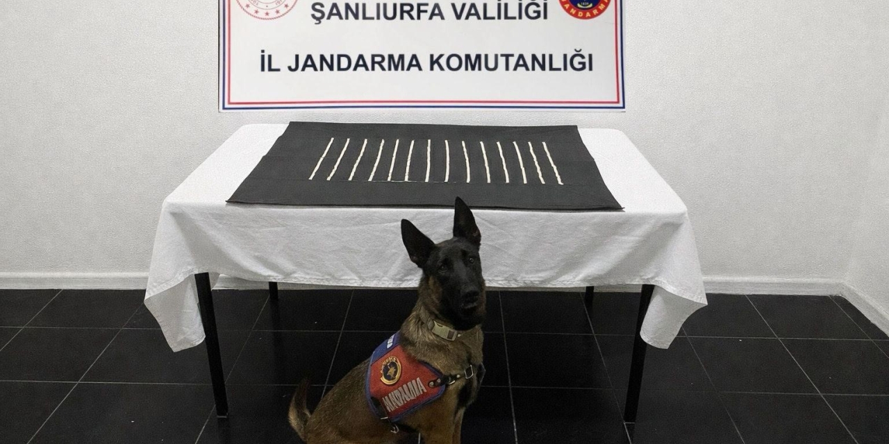 Harran’da Uyuşturucu Operasyonu: 2 Gözaltı