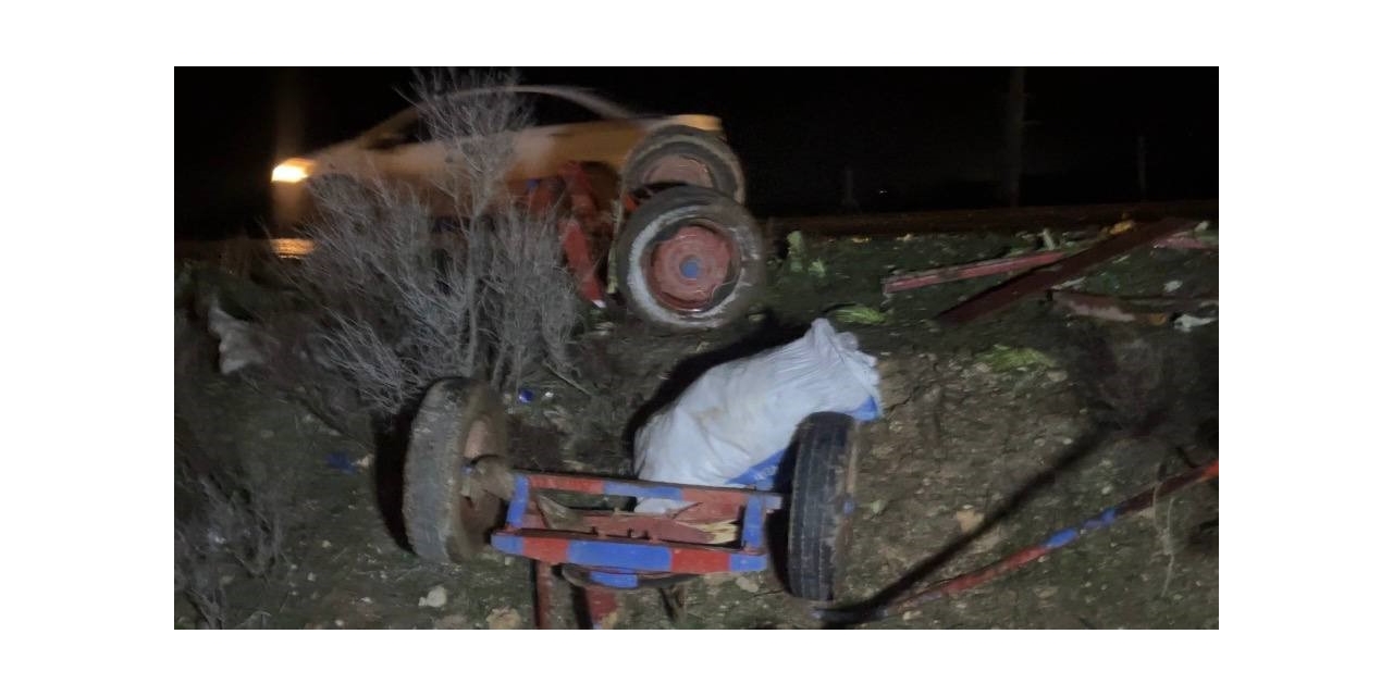 Ceylanpınar’da Otomobil, At Arabasına Çarptı: 2 Yaralı