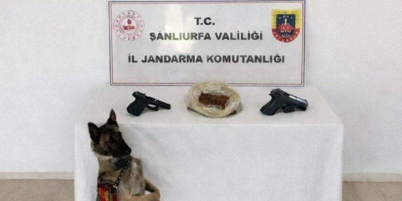 Eyyübiye’de Uyuşturucu Operasyonu: 1 Tutuklama